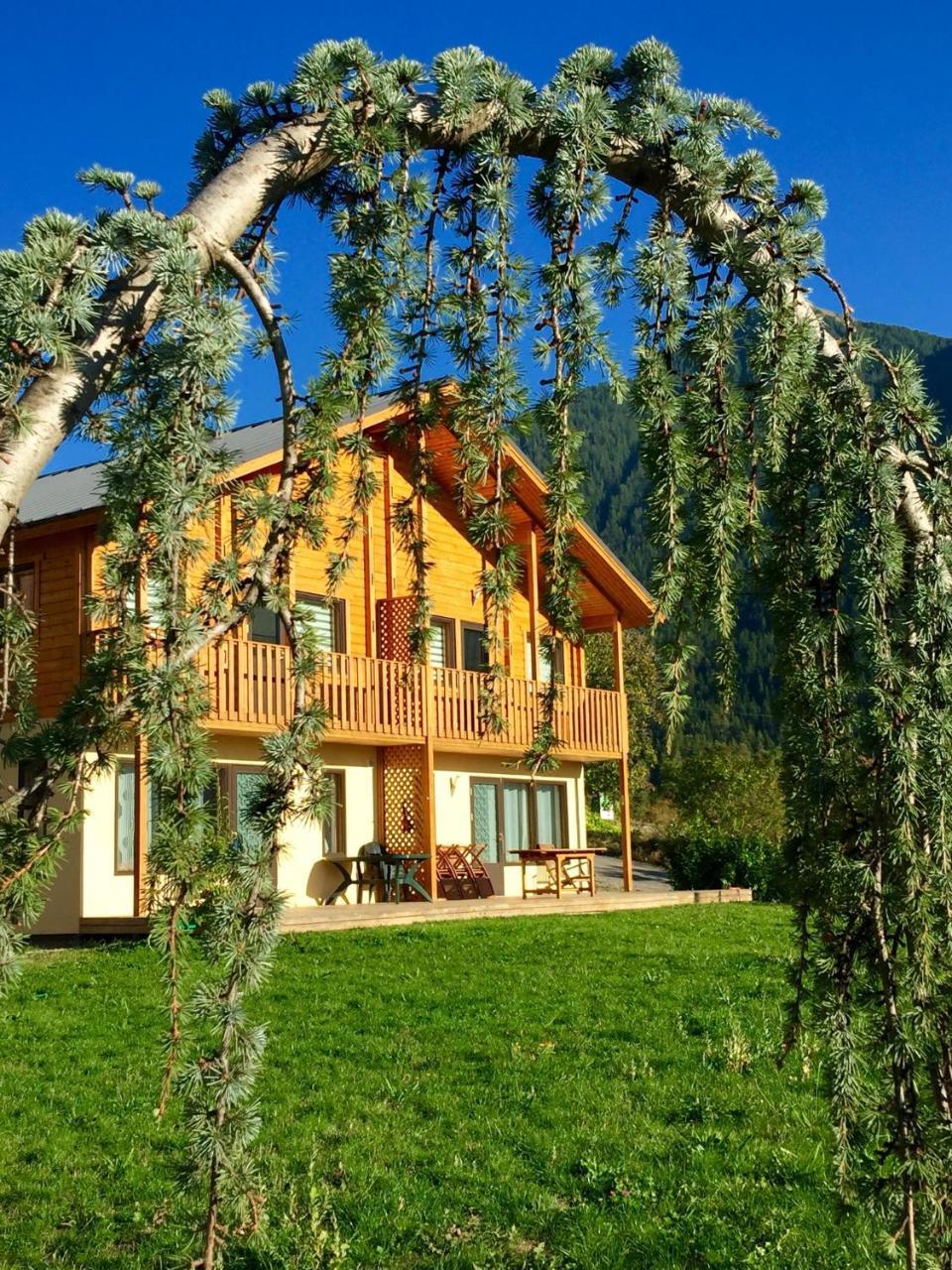 Saint-Dalmas Les Chalets Fleurs De France - Kota מראה חיצוני תמונה